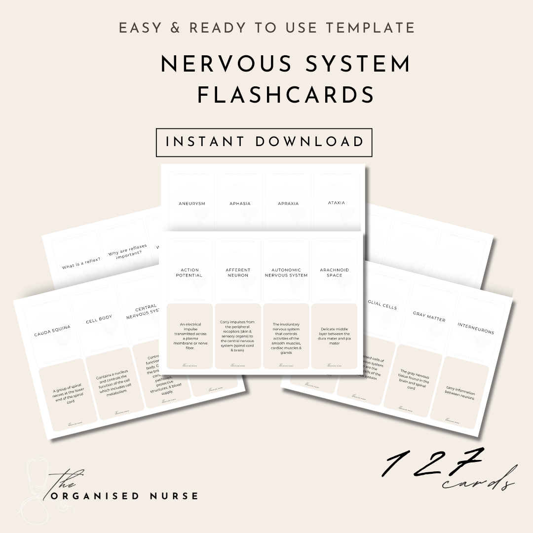 Nervous System Flashcards