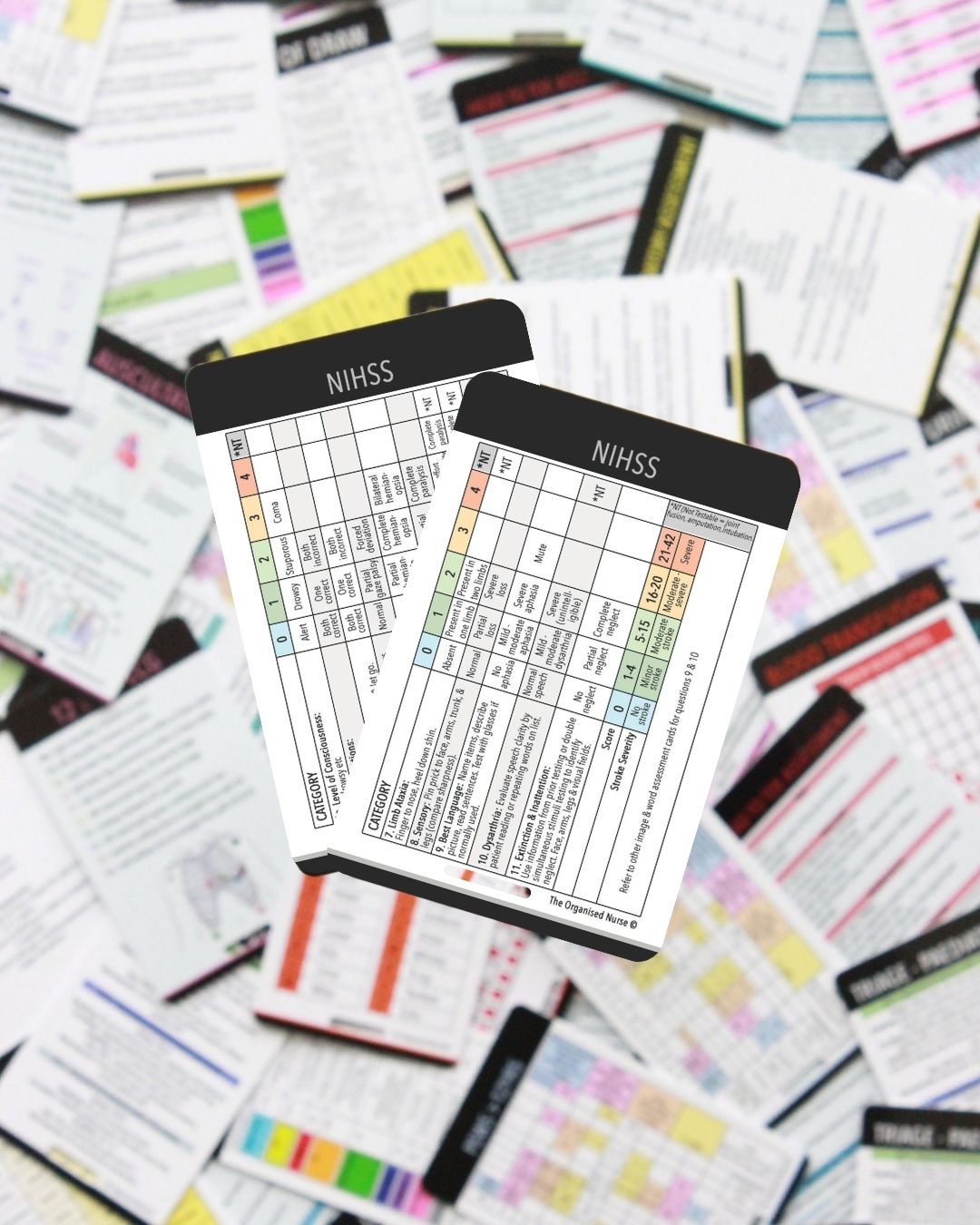 NIHSS Assessment Bundle