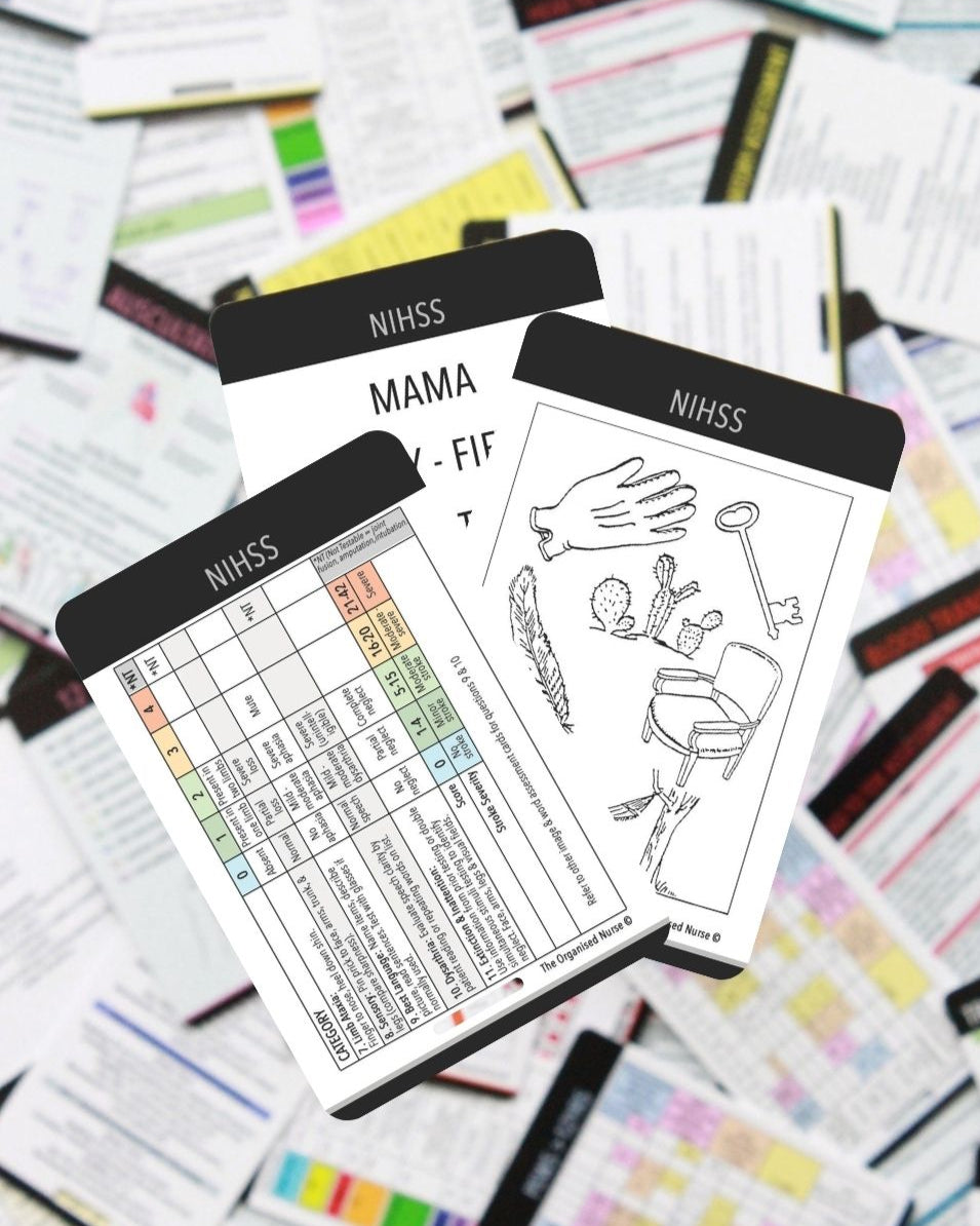 NIHSS Assessment Bundle