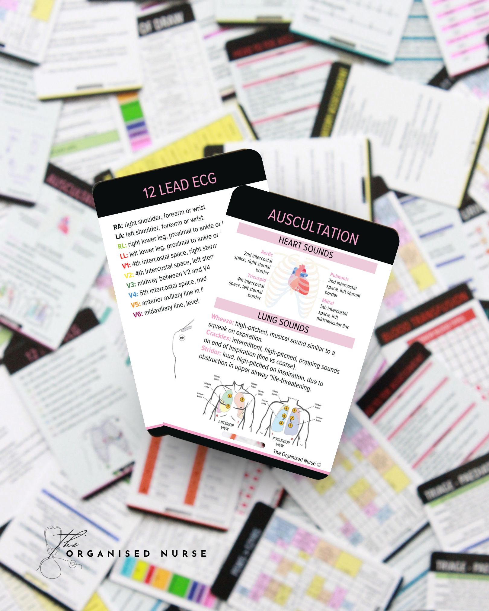 Auscultation & 12 Lead ECG Reference Card
