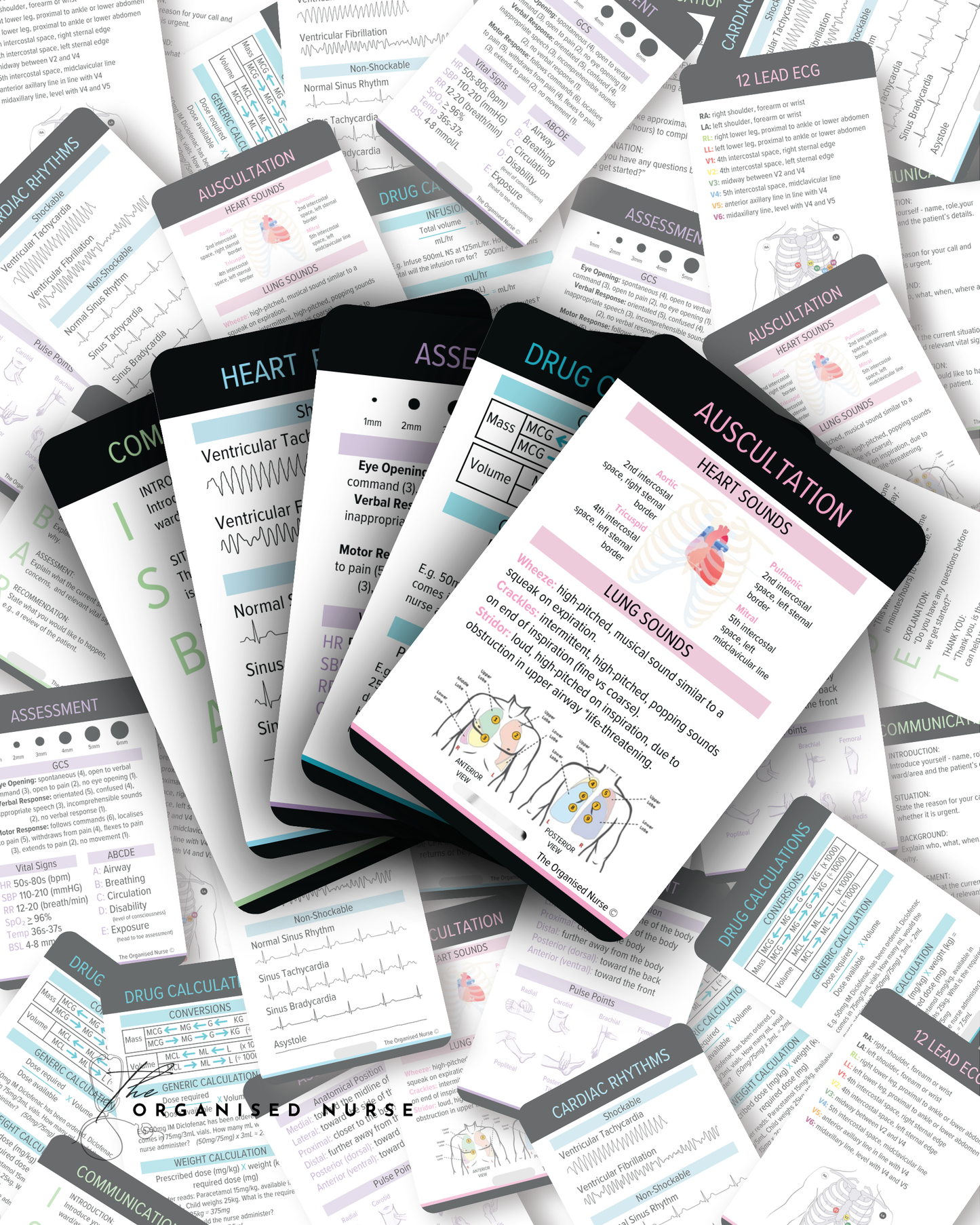 Nursing Essentials Bundle