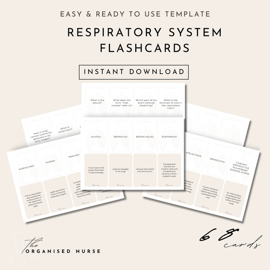 Respiratory System Flashcards