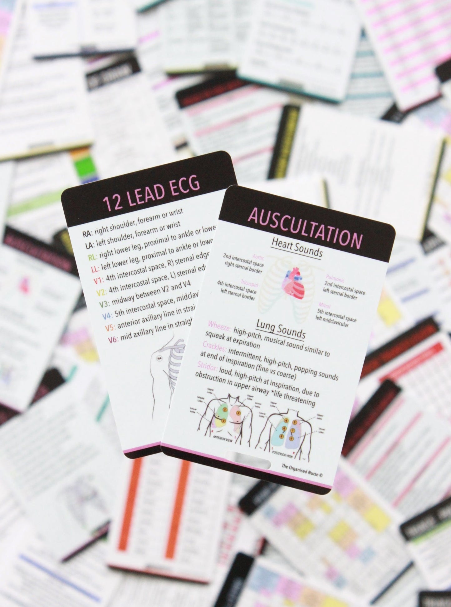 Auscultation & 12 Lead ECG